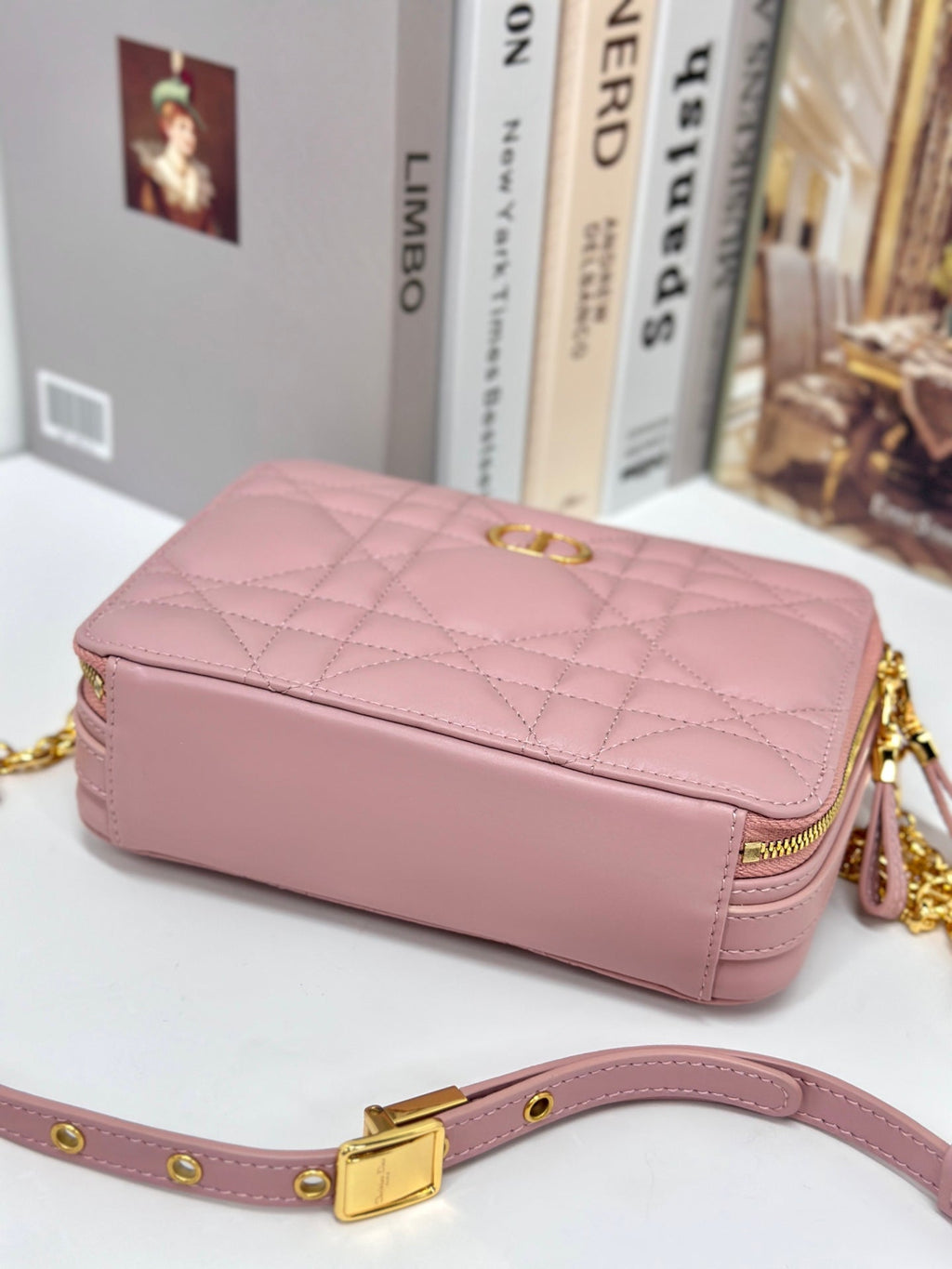 DIOR CARO BOX 19 IN LIGHT PINK CALFSKIN