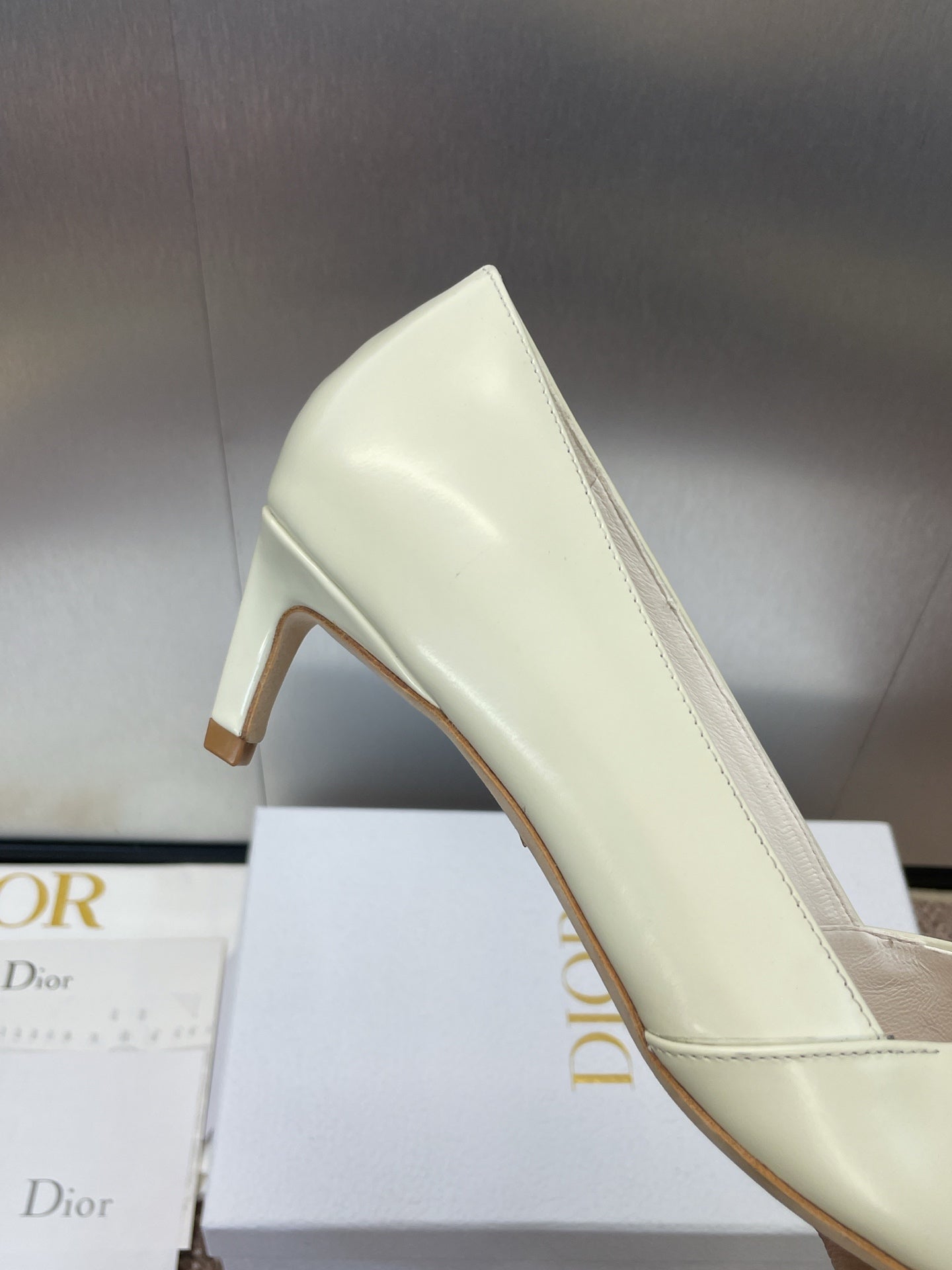 DIOR MY DD 25S HIGH HEEL 55MM IN WHITE CALFSKIN GOLD LOGO